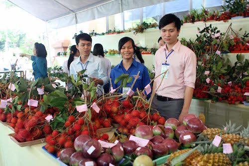 Liên kết giữa doanh nghiệp và nhà nông còn yếu, xuất khẩu trái cây vẫn loay hoay ảnh 2